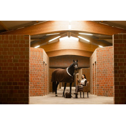 Coperta asciugante Arezzo Lauria Garrelli Marrone scuro