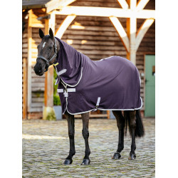 Camicia LeMieux Arika DryEase Ginepro Viola