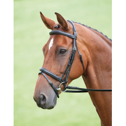 Bridon Bodenham Salisbury Shires Nero Bridon Bodenham Salisbury Shires Nero