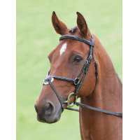 Bridon Brackley Salisbury Shires Nero