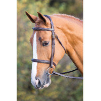 Bridon Fairford Salisbury Shires Noisette