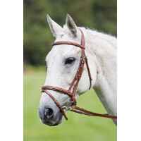 Bridon muserolle croisée Raised Flash Avignon Shires Chêne Bridon muserolle croisée Raised Flash Avignon Shires Chêne