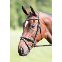 Briglia con capezzina incrociata Raised Flash Avignon Shires Avana Marrone Briglia con capezzina incrociata Raised Flash Avignon Shires Avana Marrone
