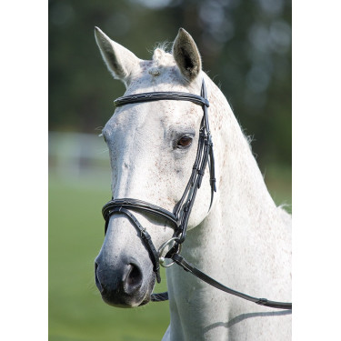 Briglia con capezzina incrociata Raised Flash Avignon Shires Nero