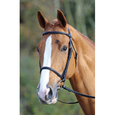 Bridon muserolle française Aviemore Shires Noir