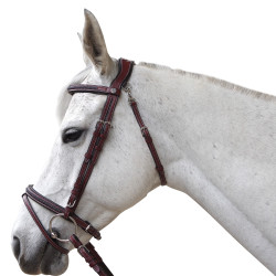 Briglia Flags & Cup Aachen