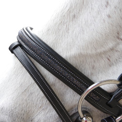 Briglia Flags & Cup Aachen