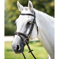 Briglia Tattini con capezzina combinata bombata Marrone