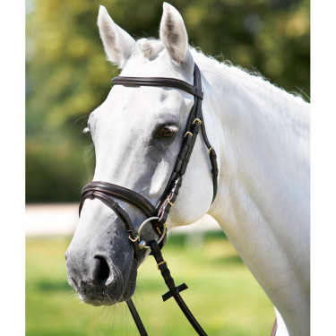 Briglia Tattini con capezzina combinata bombata Marrone