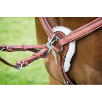 Pettorale a 5 punti Avignon Shires Avana Marrone Pettorale a 5 punti Avignon Shires Avana Marrone