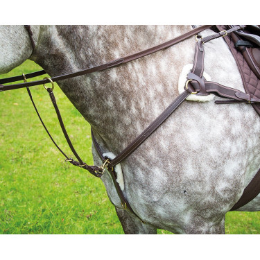 Pettorale a 5 punti Salisbury Shires Avana Marrone