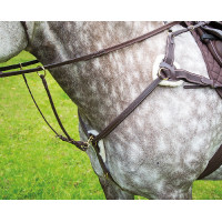 Pettorale a 5 punti Salisbury Shires Avana Marrone Pettorale a 5 punti Salisbury Shires Avana Marrone