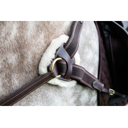 Pettorale a 5 punti Salisbury Shires Avana Marrone