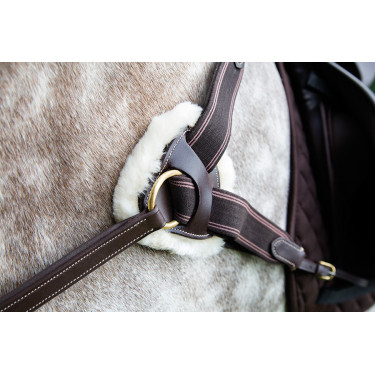 Pettorale a 5 punti Salisbury Shires Avana Marrone