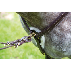 Pettorale a 5 punti Salisbury Shires Avana Marrone