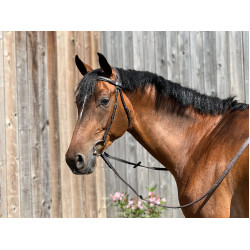 Filet T de T Essentiel Comfort Havana scuro Marrone Filet T de T Essentiel Comfort Havana scuro Marrone