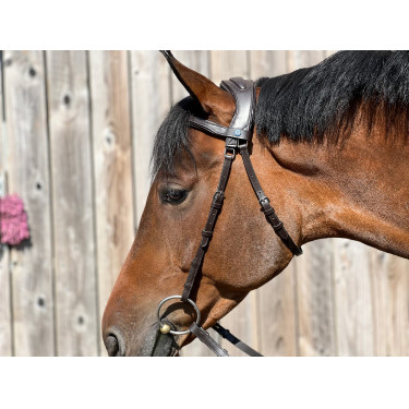 Filet T de T Essentiel Comfort Havana scuro Marrone Filet T de T Essentiel Comfort Havana scuro Marrone