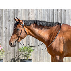 Filet T de T Essentiel Comfort Havana scuro Marrone Filet T de T Essentiel Comfort Havana scuro Marrone