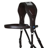 Briglia T de T Essentiel con Ponte