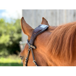 Briglia T de T Essentiel con Ponte Briglia T de T Essentiel con Ponte