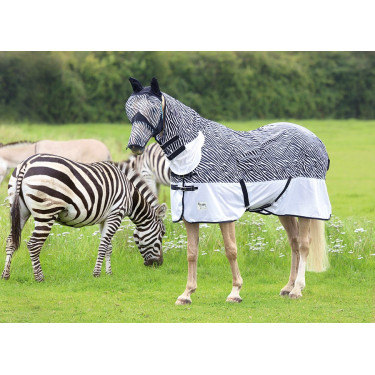 Coperta combo anti-mosche Tempest Original Zebra Shires Zebra Motivi