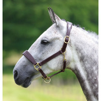 Capezzina in cuoio Blenheim Shires Avana Marrone