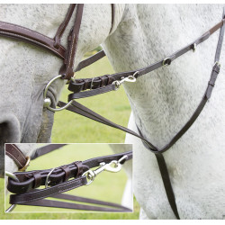 Enrênement Howlett Blenheim Shires
