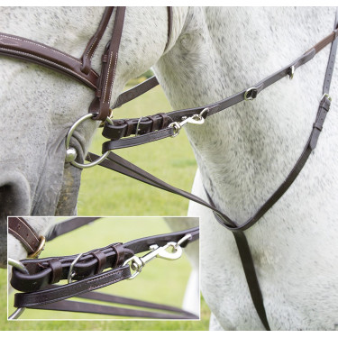 Enrênement Howlett Blenheim Shires