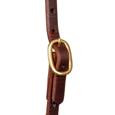 Capezzina con copriorecchie e fibbia singola da 5/8" Platinum Pro