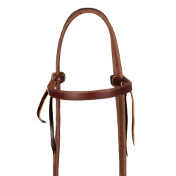 Capezzina con fascia a fibbia singola da 5/8" Platinum Pro Olio scuro Marrone