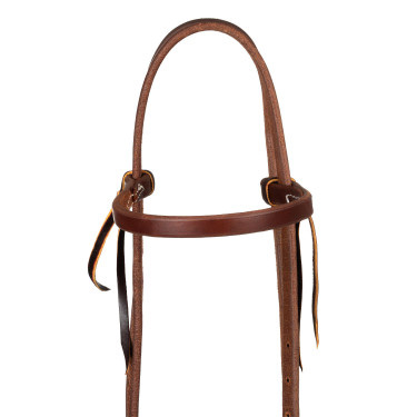 Capezzina con fascia a fibbia singola da 5/8" Platinum Pro Olio scuro Marrone