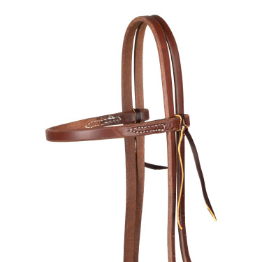 Capezzina con fascia a fibbia singola da 5/8" Platinum Pro Olio scuro Marrone