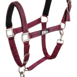 Capestro Sintetico con Longhina Riflettente Supreme Bordeaux Capestro Sintetico con Longhina Riflettente Supreme Bordeaux