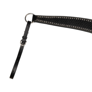 Brustblatt Basket/Spots Pool's Nero