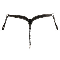 Brustblatt Basket/Spots Pool's Nero