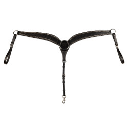 Brustblatt Basket/Spots Pool's Nero