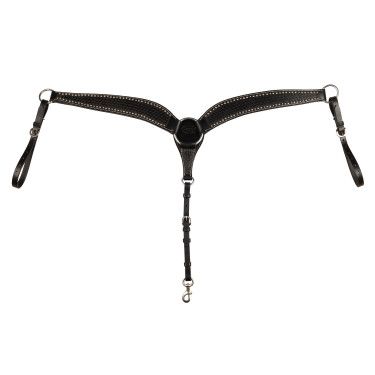 Brustblatt Basket/Spots Pool's Nero