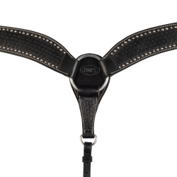 Brustblatt Basket/Spots Pool's Nero