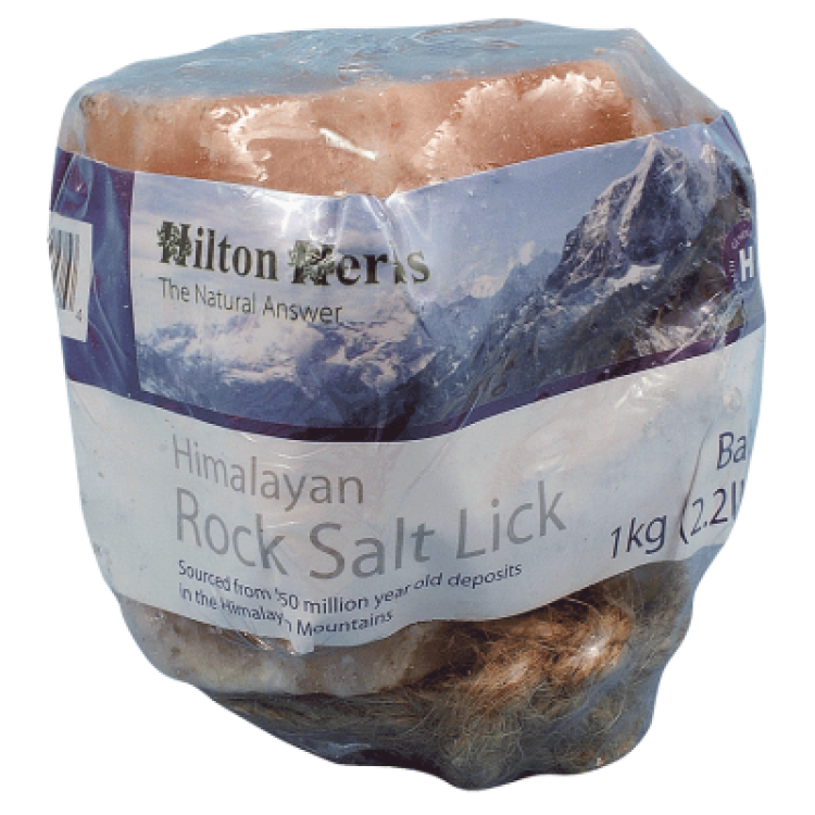Pietra di sale rosa dell'Himalaya Hilton Herbs