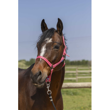 Capezzina Norton Grooming Rosa Antico