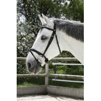 Briglia Norton Pro Combinata Nero