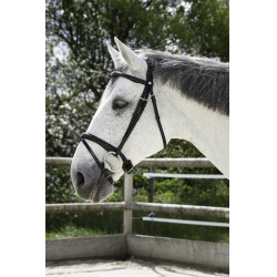 Briglia Norton Pro Combinata Nero