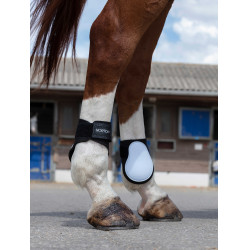 Paranocche Norton Paranocche Norton