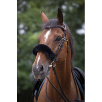 Copri-nasale Equithème Teddy Nero