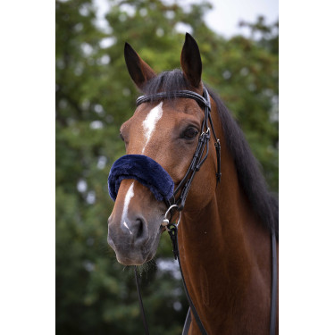 Copri-nasale Equithème Teddy Blu navy