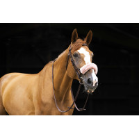 Copri-nasale Equithème Teddy Blu navy