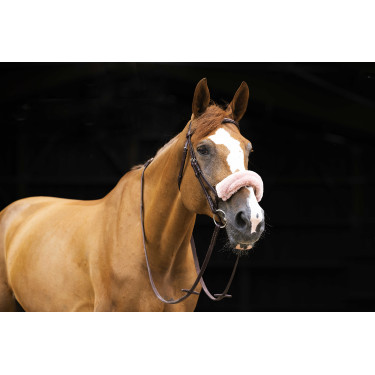 Copri-nasale Equithème Teddy Oro rosa Nero