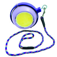 Gioco con pietra di sale Boredom Buster Likit Viola Gioco con pietra di sale Boredom Buster Likit Viola