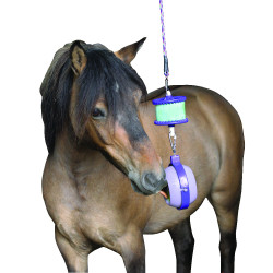 Gioco con pietra di sale Boredom Buster Likit Viola Gioco con pietra di sale Boredom Buster Likit Viola