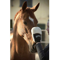 Guanto per la strigliatura Pénélope Nero